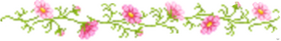 spacecadetszo
